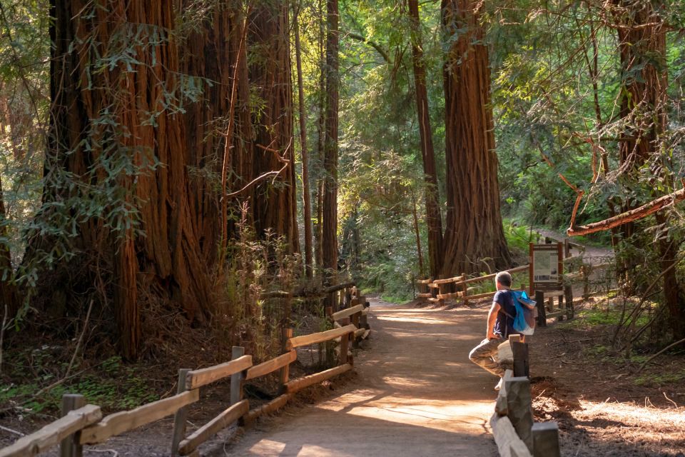 San Francisco: Private Muir Woods and Sausalito Tour - Itinerary Highlights