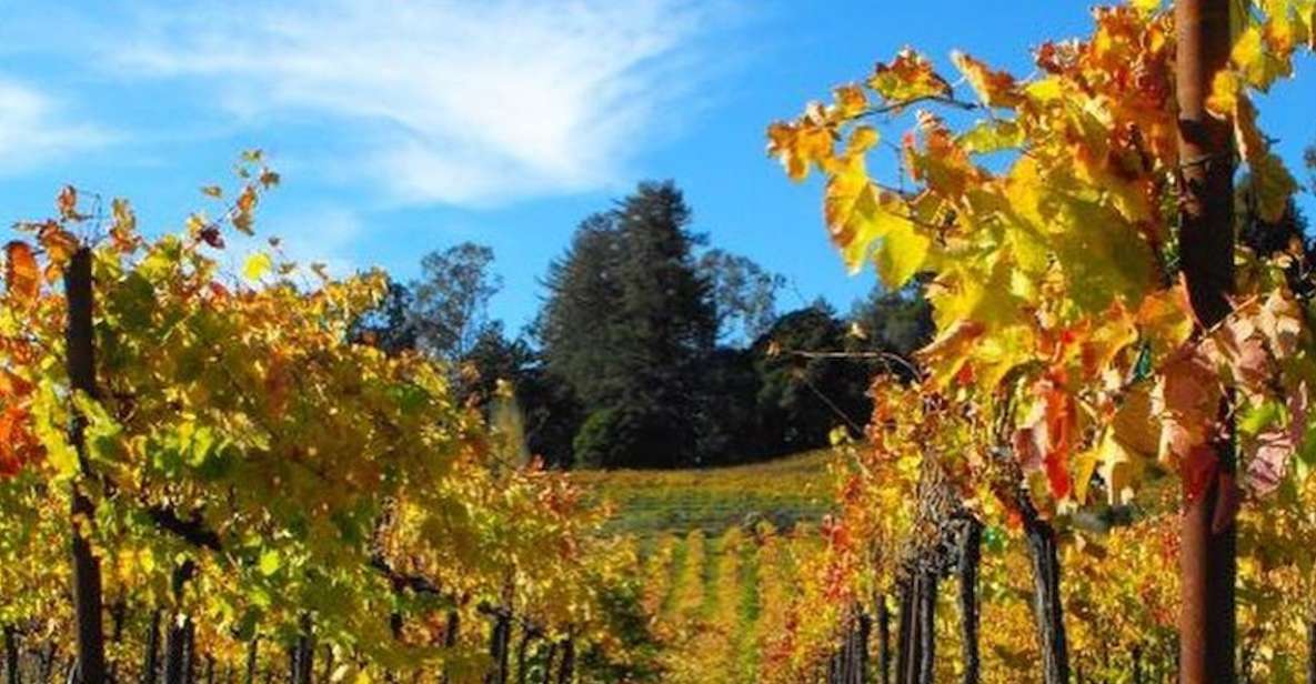 Santa Cruz: Private Custom Wine Tour With Hotel Pickup - Exclusive Wineries and Itinerary