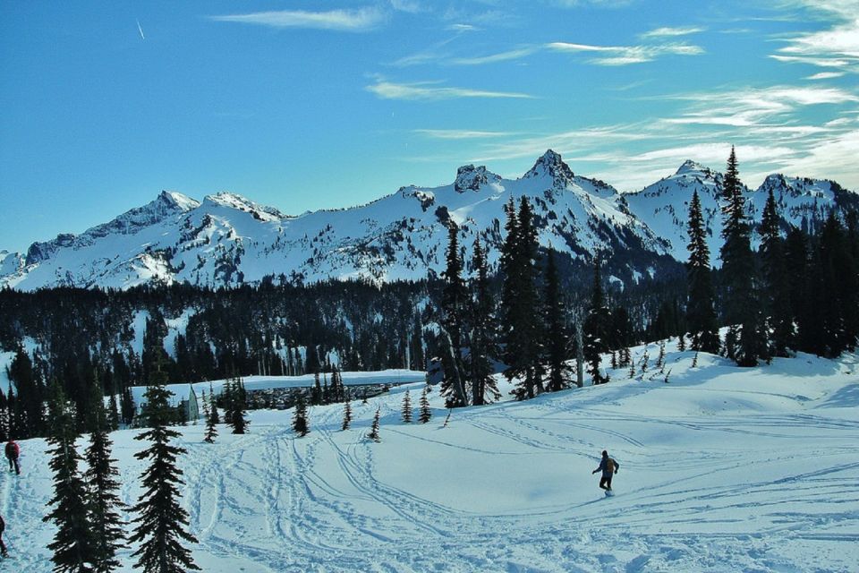 Seattle: Mount Rainier Park All-Inclusive Small Group Tour - Booking Information