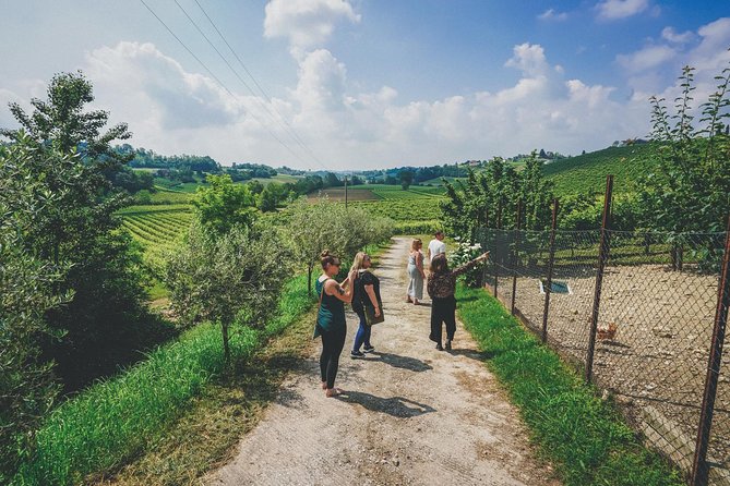 Semi-Private Prosecco Wine Tour From Venice - Winery Visits