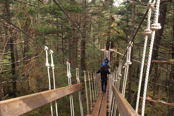 Seward Alaska Small-Group Ziplining Experience in Nature - Guest Reviews and Feedback