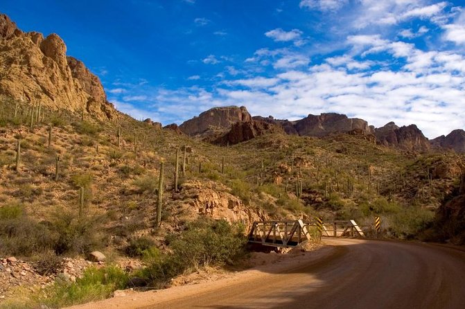 Small Group Apache Trail Day Tour With Dolly Steamboat From Phoenix - Common questions