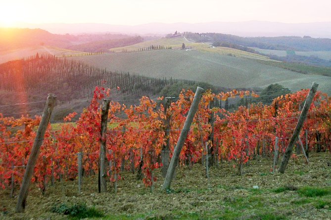 Small-Group Chianti and San Gimignano Sunset Trip From Siena - Final Words