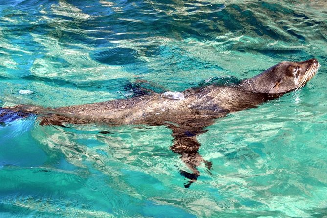 Small Group City Tour Los Cabos With Lunch Tequila and Candy - Culinary Delights and Tastings