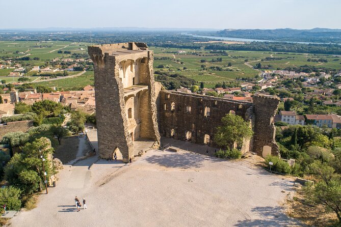 Small Group Marseille Shore Excursion : Avignon & Chateauneuf Du Pape Wine Tour - Meeting Point and Logistics