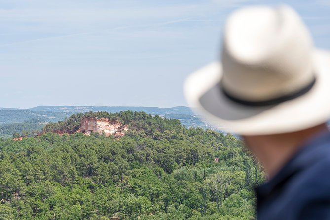 Small Group Marseille Shore Excursion: Luberon Villages Tour - Private Tours and Flexibility