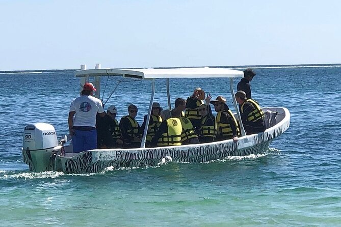 Small-Group Mesoamerican Barrier Reef Snorkeling in Puerto Morelos - Snorkeling Experience Highlights