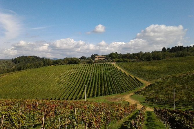 Small-Group Wine Tasting Experience in the Tuscan Countryside - Winery Experience and Tastings