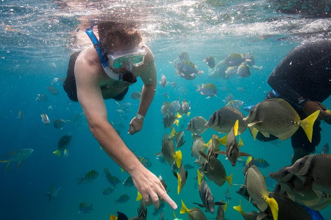 Snorkel Tour to Pelican Rock by Glass-Bottom Boat With Souvenir Photos - Directions