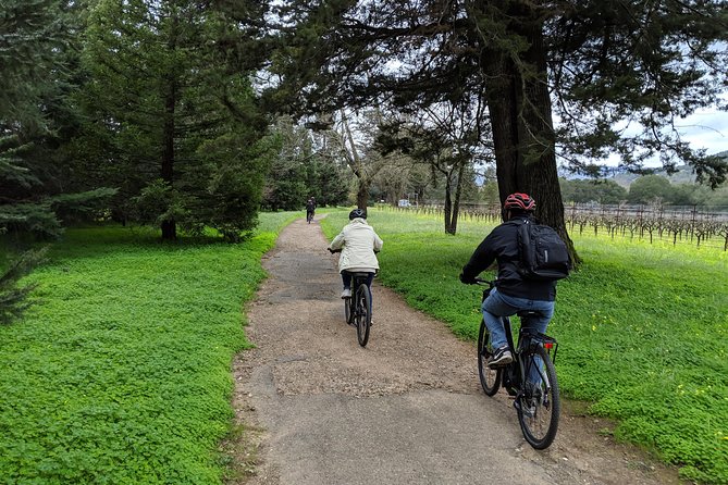 Sonoma Valley Pedal Assist Bike Tour With Lunch - Customer Reviews and Recommendations