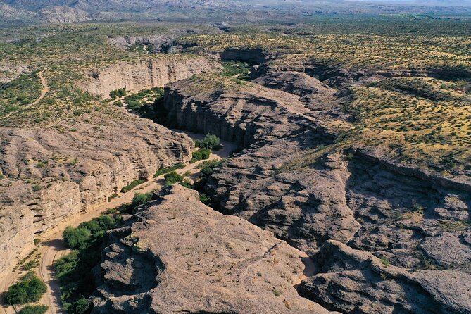 Sonoran Desert Jeep Tour - Booking and Pricing