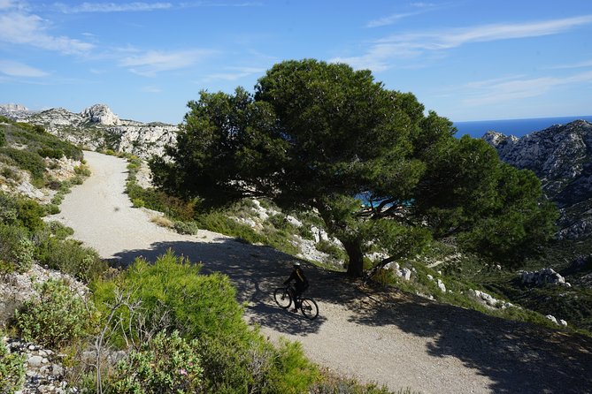 Sormiou Calanques National Park Electric Bike Tour From Marseille - Common questions