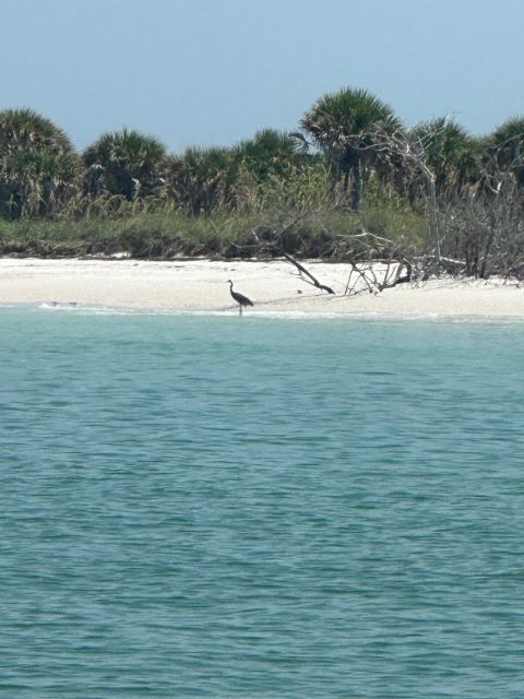 St Petersburg, FL: 3 Hour Islands Hopping Eco Tour - Final Words