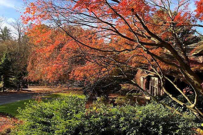 Stanley Park Horse-Drawn Tour - Weather Considerations