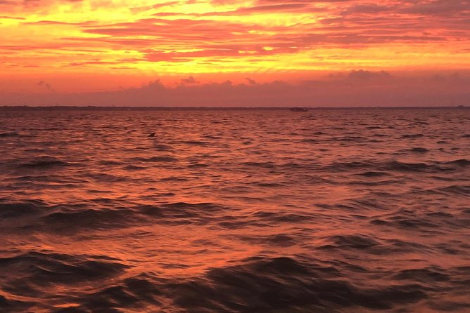 Sunset Dolphin Watching Cruise in Destin Harbor - Customer Reviews and Ratings