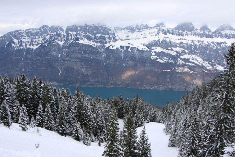 Switzerland: Private Sledging Day Tour - Additional Details