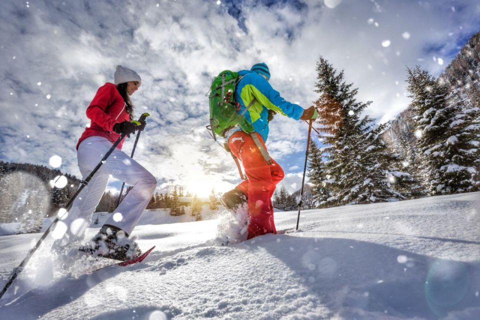 Switzerland : Snowshoeing Private Tour - Final Words