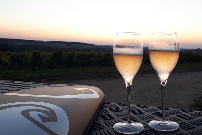 The Unmissable: Champagne Tasting at the Tops of the Vines - Scenic Vineyard Views