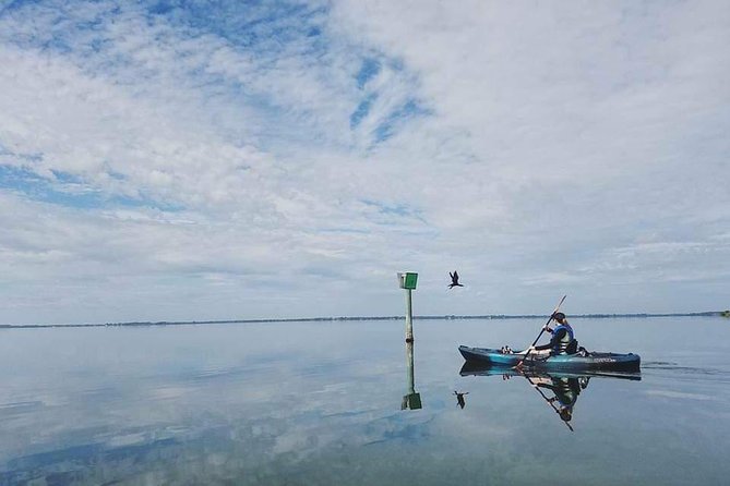 Thousand Island Mangrove Tunnel, Manatee & Dolphin Kayak Tour W/Cocoa Kayaking - Guide and Wildlife Highlights