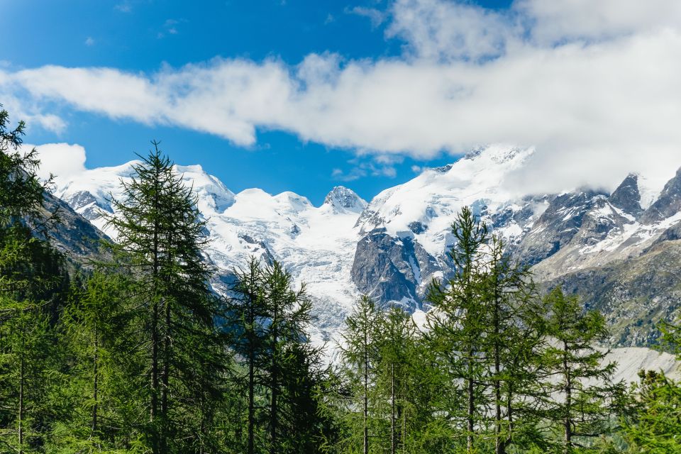 Tirano to St. Moritz: Bernina Red Train Return Day-Ticket - Additional Information