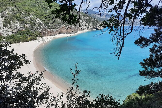 Trekking to Cala Luna the Pearl of the Gulf of Orosei - Pricing, Booking, and Details