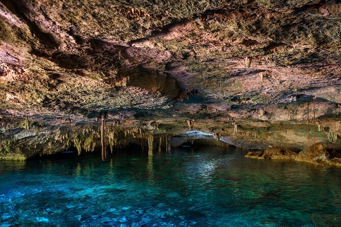 Tulum Ruins and Cenote Guided Tour Plus Snacks - Inclusions