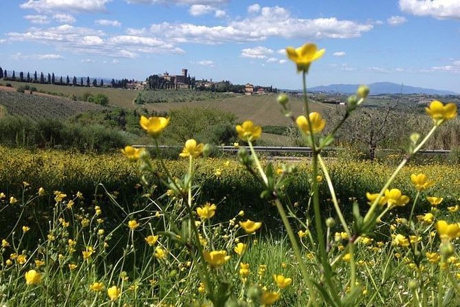 Tuscany Bike Tours Through the Chianti Hills With Wine Tasting - Common questions