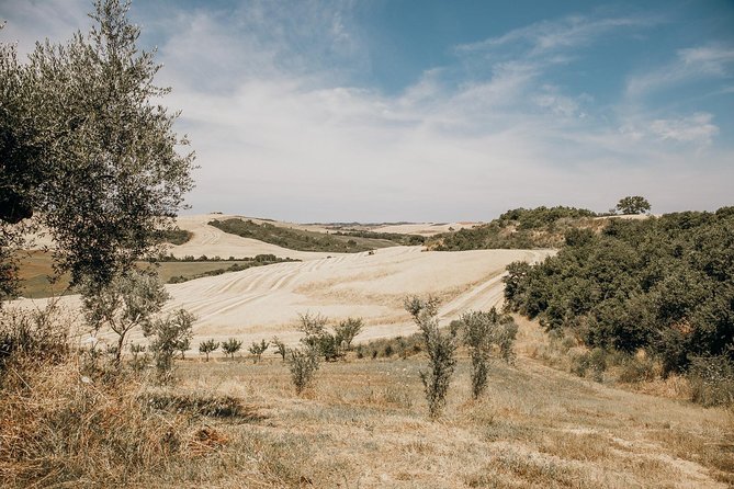 Tuscany From Rome With Winery Lunch & Medieval Towns - Winery Lunch Experience