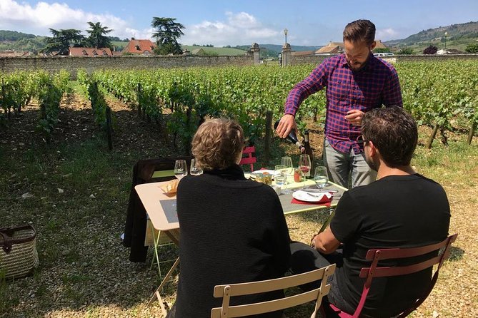 Unusual Exploration of the Terroirs of Burgundy in 2CV - From 6 People - Authentic Reviews and Customer Ratings