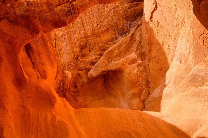 Valley of Fire and Mojave Desert Day Tour From Las Vegas - Common questions