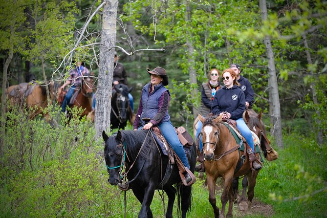 Valley Vista 1.5 Hour Horseback Trail Ride in Kananaskis - Cancellation Policy