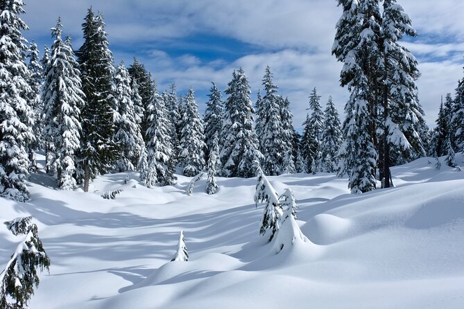 Vancouver: North Shore Mountains Small-Group Snowshoeing Tour - Help Center Access