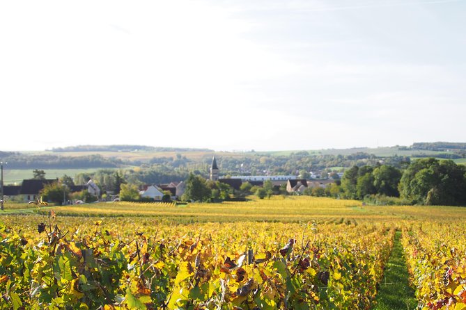 Vineyard Tour & Tasting of All Our Lineup - Pairing Recommendations