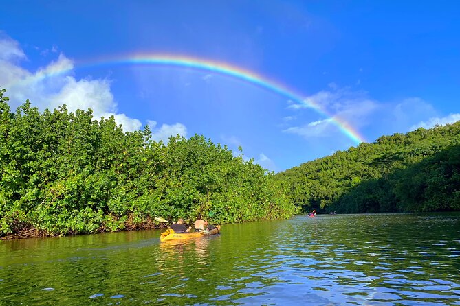 Wailua River and Secret Falls Kayak and Hiking Tour on Kauai - Common questions