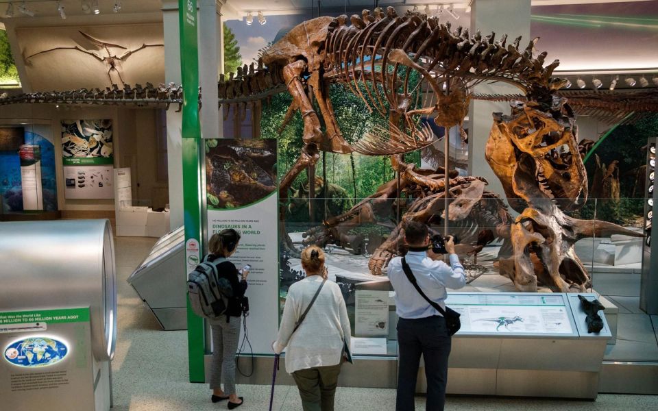 Washington DC: Museum of Natural History Private Guided Tour - Additional Information