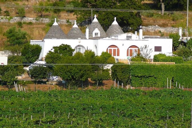 Wine Ostuni, Tour of an Apulian Winery With Traditional Lunch or Aperitivo - Host Interaction