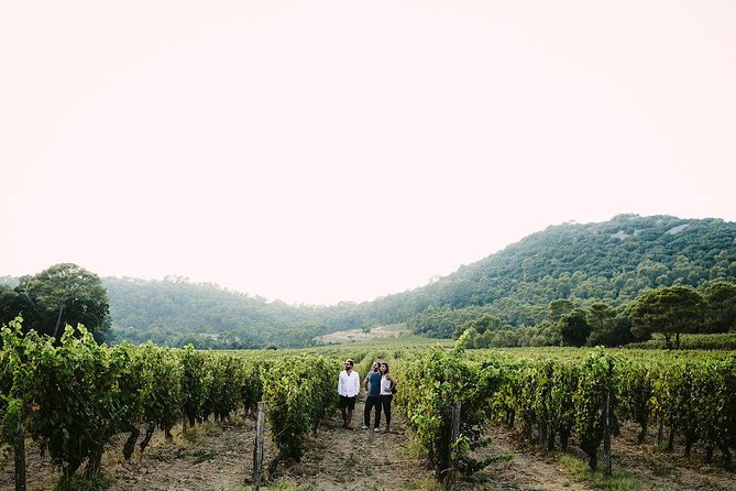 Winetour and Homemade Food Experience in Pic St Loup - Unique Tour Experience