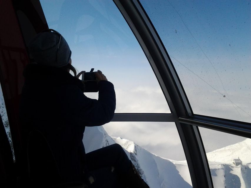 Winter Panorama Mount Pilatus: Small Group Tour From Luzern - Inclusions and Exclusions