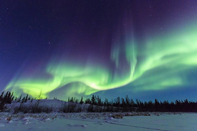 Yellowknife Tours - Aurora by Bus - Common questions