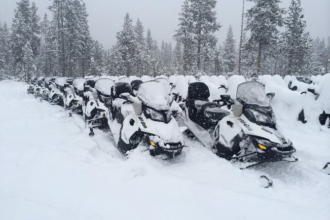 Yellowstone Old Faithful Full-Day Snowmobile Tour From Jackson Hole - Visitor Assistance