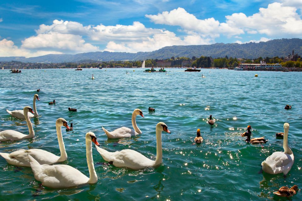 Zurich Highlights Self-Guided Scavenger Hunt and Tour - General Information