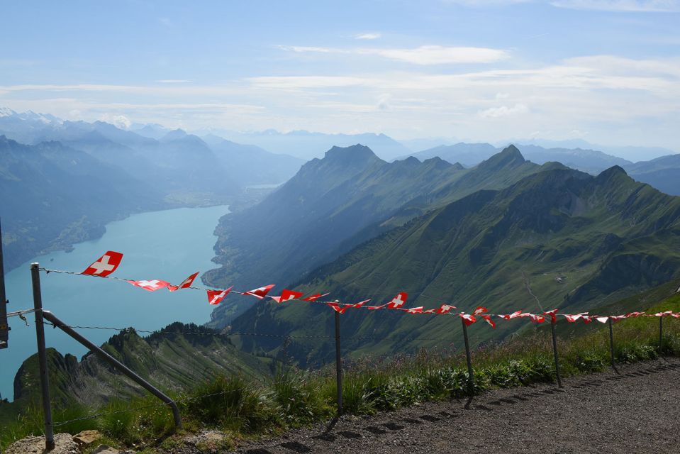 Zurich: Private Panoramic Alpine Tour - Customer Feedback and Information Provided