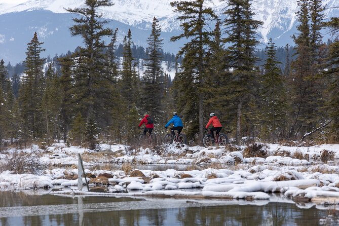 1-Hour Guided Group Fat Bike Tour - Reviews