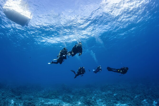 2 Dives in the Morning for Certified Divers in Bora Bora - Additional Tips for a Great Dive