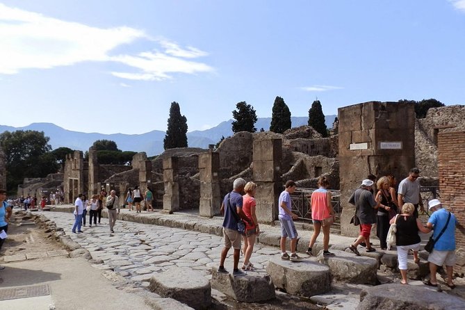 2 Hours Pompeii Tour With Local Historian - Ticket Included - Additional Resources