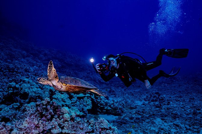 2 Tank Lanai Cathedral Dive - Overall Experience