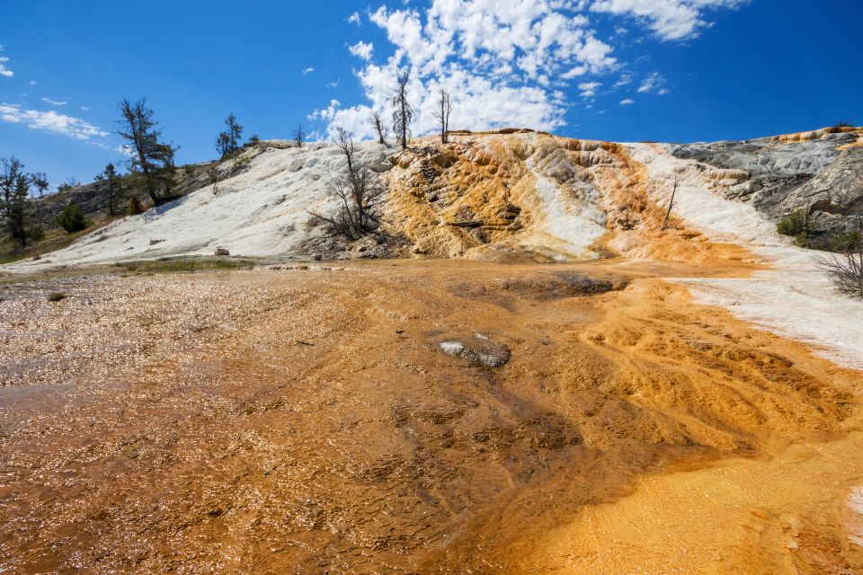 7-Day Yellowstone National Park Rocky Mountain Explorer - Tour Logistics