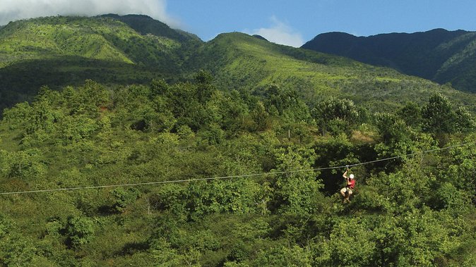 8 Line Kaanapali Zipline Adventure on Maui - Customer Reviews and Testimonials