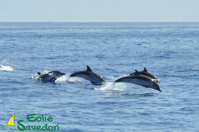 Aeolian Islands Speedboat Cruise From Tropea - Additional Recommendations