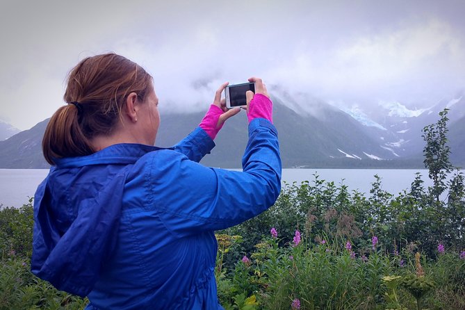 Afternoon Wilderness, Wildlife, Glacier Experience From Anchorage - Guide Profiles and Wildlife Encounters